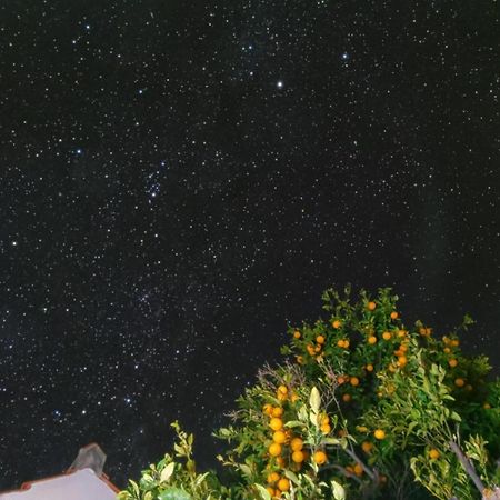"Villa Servanda " - Relax, Nature, Wide Views Of The Sea And A Starry Sky Puntagorda  Luaran gambar