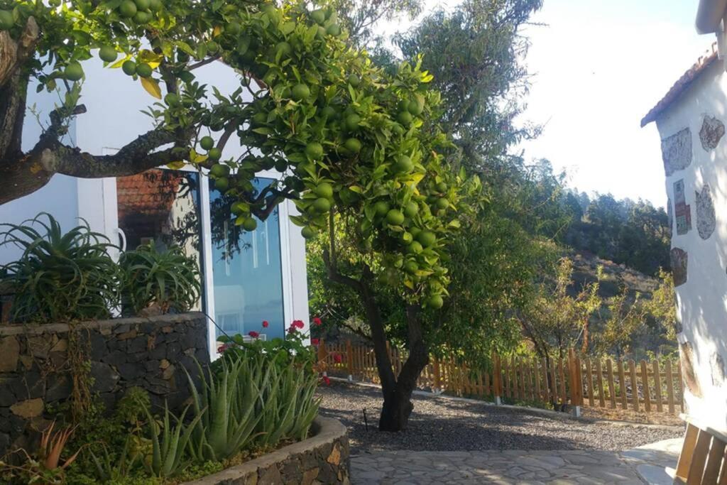 "Villa Servanda " - Relax, Nature, Wide Views Of The Sea And A Starry Sky Puntagorda  Luaran gambar