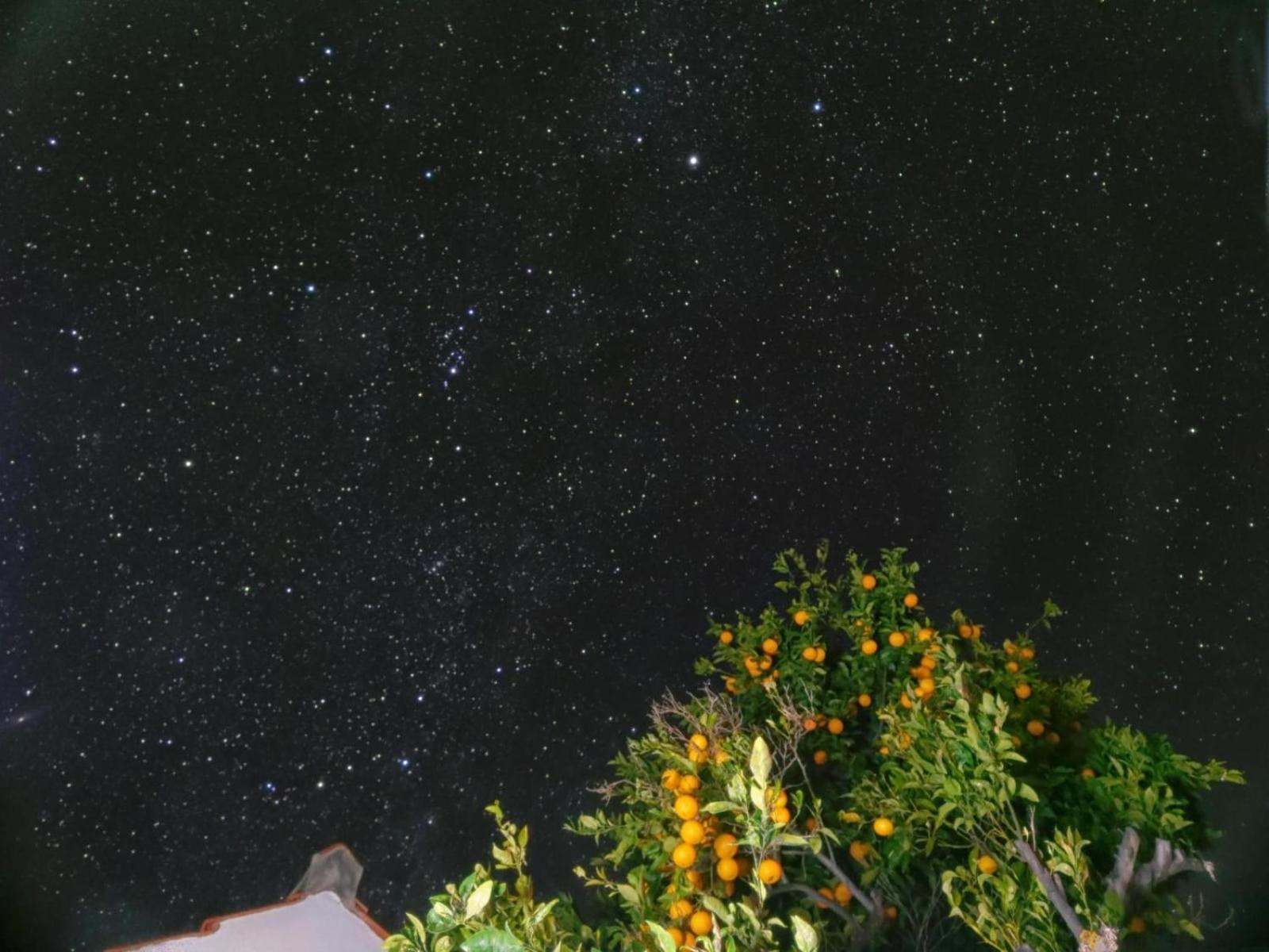 "Villa Servanda " - Relax, Nature, Wide Views Of The Sea And A Starry Sky Puntagorda  Luaran gambar